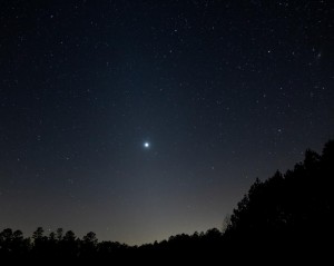 night-starry-sky-star-trees